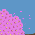 The Flower Feilds