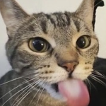 Fren Donation Group