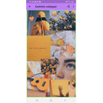 Iitt_honey