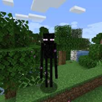 Endermans store
