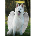 Angel Doge Only (Best)