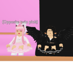 Opposite Twin Group