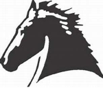 Broken Saddle Riding Academy