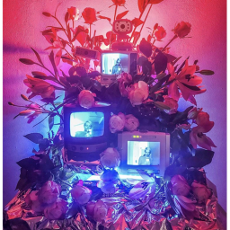 aesthetic homestore
