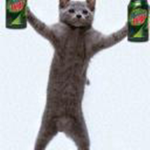 Katt<3
