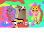 popcat and cats co~owner