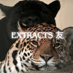 extracts 友