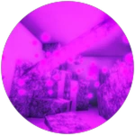 secret Room 1