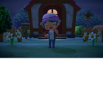 Miraculous Ladybug Gang