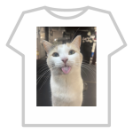 silly cat