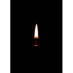 Vela caro