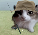 fishe felines !!
