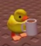 Duckystudio$