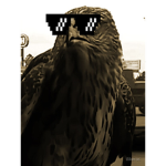 ebullient hawks
