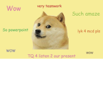 Doge fan group :P