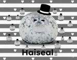 Haiseal Group Thumbnail