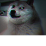 Cult Doge