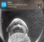 PickledEgg ROBLOX fan group!
