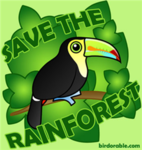 Save The Rainforest!