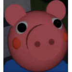 IHHC