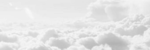 WhiteClouds Studio