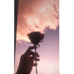 :) happiness :>