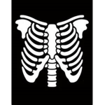 Skeleton Security