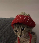 My little $trawberries