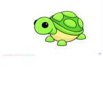 Me and the Turtle Gang YASS QUEEEEEEEEEEEEEEEEEEEN