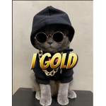 i Gold