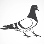 Pigeon’s Private Group