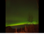 The Mexican boy