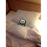 HI_ruru