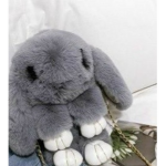 cookie_is the best