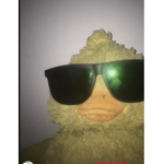 DUCK PARADISE / is cool