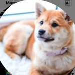Other ML COIN FAMILY