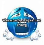 crunchyleafs