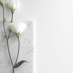 𝒢𝑜𝓃𝓃𝒶
