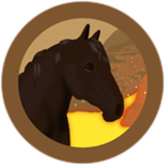 Black Percheron