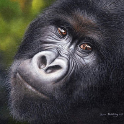 Gorilla painting 1 Roblox decal
