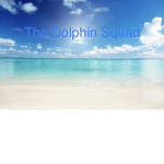the dolphin squaddd