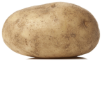 Lazy Potato squad!!!