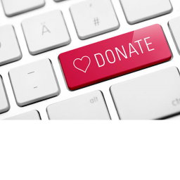 this is a donation game
