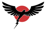ThunderBirds®