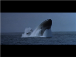 The-man-kill