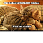 MLGASFUDGE