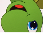 Turtle team!!!
