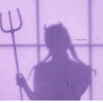 Purplx bvtterfly
