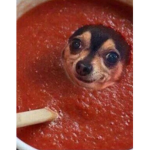 Tomato sauce doggo family