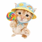 meowuu Group Thumbnail